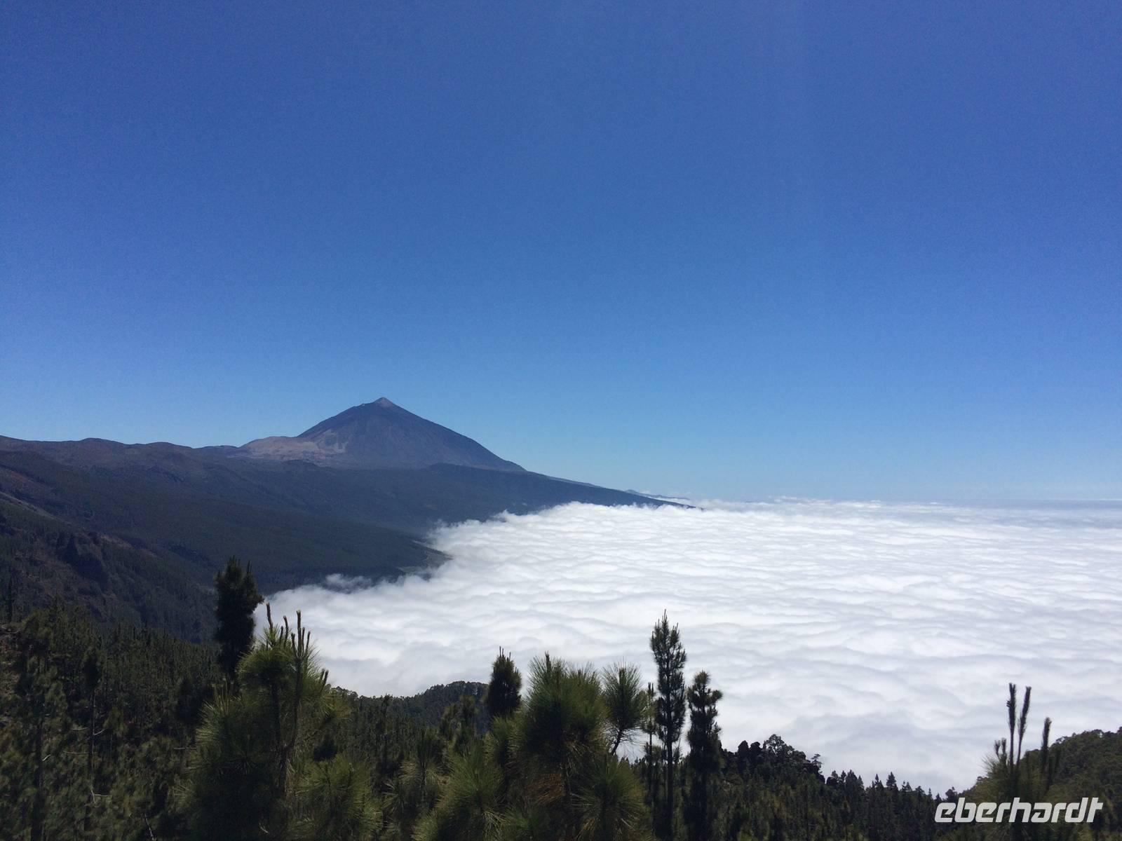 101 Teide &ndash; &copy; Ngoc Anh Nguyen (Eberhardt TRAVEL)