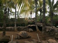 010 Loro Parque &ndash; &copy; Ngoc Anh Nguyen (Eberhardt TRAVEL)
