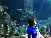 012 Loro Parque &ndash; &copy; Ngoc Anh Nguyen (Eberhardt TRAVEL)