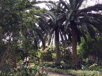 030 Botanischer Garten (2) &ndash; &copy; Ngoc Anh Nguyen (Eberhardt TRAVEL)