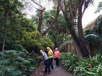 031 Botanischer Garten &ndash; &copy; Ngoc Anh Nguyen (Eberhardt TRAVEL)