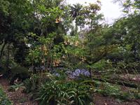 032 Botanischer Garten &ndash; &copy; Ngoc Anh Nguyen (Eberhardt TRAVEL)
