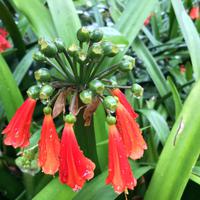 038 Botanischer Garten &ndash; &copy; Ngoc Anh Nguyen (Eberhardt TRAVEL)