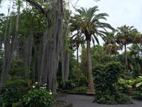 040 Botanischer Garten &ndash; &copy; Ngoc Anh Nguyen (Eberhardt TRAVEL)