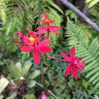 042 Botanischer Garten &ndash; &copy; Ngoc Anh Nguyen (Eberhardt TRAVEL)