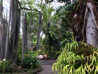 046 Botanischer Garten &ndash; &copy; Ngoc Anh Nguyen (Eberhardt TRAVEL)