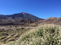110 Teide-Nationalpark &ndash; &copy; Ngoc Anh Nguyen (Eberhardt TRAVEL)