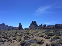152 Teide-Nationalpark &ndash; &copy; Ngoc Anh Nguyen (Eberhardt TRAVEL)