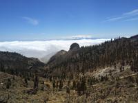 157 Teide-Nationalpark &ndash; &copy; Ngoc Anh Nguyen (Eberhardt TRAVEL)