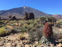 326 Teide-Nationalpark &ndash; &copy; Ngoc Anh Nguyen (Eberhardt TRAVEL)