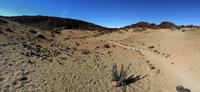 330 Teide-Nationalpark &ndash; &copy; Ngoc Anh Nguyen (Eberhardt TRAVEL)