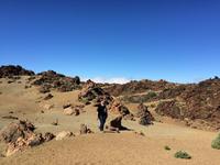 331 Teide-Nationalpark &ndash; &copy; Ngoc Anh Nguyen (Eberhardt TRAVEL)