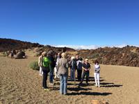 333 Teide-Nationalpark &ndash; &copy; Ngoc Anh Nguyen (Eberhardt TRAVEL)