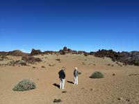 335 Teide-Nationalpark &ndash; &copy; Ngoc Anh Nguyen (Eberhardt TRAVEL)