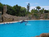 Loro Park Teneriffa &ndash; &copy; Rebekka Böhme (Eberhardt TRAVEL)