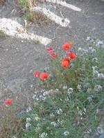 Masca - Teneriffa &ndash; &copy; Rebekka Böhme (Eberhardt TRAVEL)