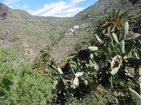 Masca - Teneriffa &ndash; &copy; Rebekka Böhme (Eberhardt TRAVEL)