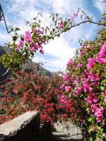 Masca - Teneriffa &ndash; &copy; Rebekka Böhme (Eberhardt TRAVEL)