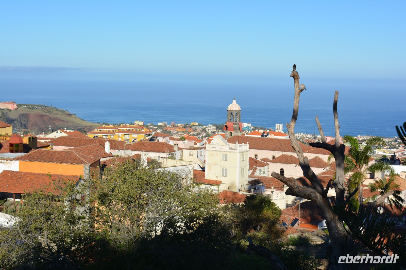 Teneriffa - Orotava (2) &ndash; &copy; Franziska Barthel (Eberhardt TRAVEL)