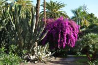 Teneriffa - Santa Cruz (3) &ndash; &copy; Franziska Barthel (Eberhardt TRAVEL)