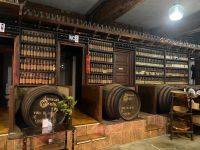Teneriffa -Bodega (1) &ndash; &copy; Franziska Barthel (Eberhardt TRAVEL)