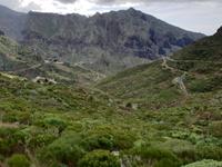 Masca &ndash; &copy; Benjamin Rodriguez Manzanares (Eberhardt TRAVEL)