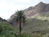 Masca (6) &ndash; &copy; Benjamin Rodriguez Manzanares (Eberhardt TRAVEL)