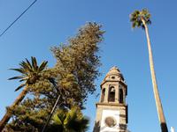 San Cristobal de La Laguna (1) &ndash; &copy; Benjamin Rodriguez Manzanares (Eberhardt TRAVEL)