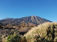 Teide Nationalpark (2) &ndash; &copy; Benjamin Rodriguez Manzanares (Eberhardt TRAVEL)