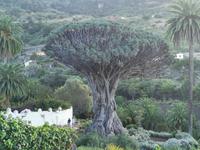 Drago Milinario &ndash; &copy; Isabel Zwanzig (Eberhardt TRAVEL)