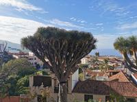 Drago Milinario &ndash; &copy; Isabel Zwanzig (Eberhardt TRAVEL)
