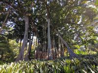 Jardin Botanico &ndash; &copy; Isabel Zwanzig (Eberhardt TRAVEL)