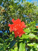 Jardin Botanico &ndash; &copy; Isabel Zwanzig (Eberhardt TRAVEL)