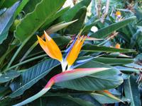 Jardin Botanico &ndash; &copy; Isabel Zwanzig (Eberhardt TRAVEL)