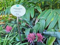 Jardin Botanico &ndash; &copy; Isabel Zwanzig (Eberhardt TRAVEL)