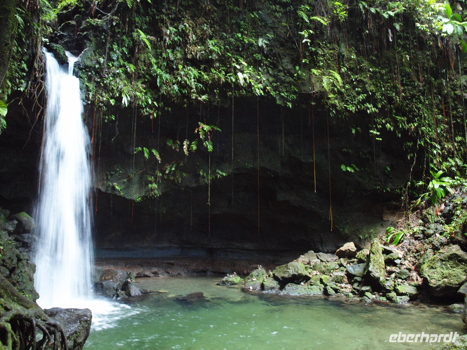 Dominica - Emerald Pool &ndash; &copy; Juliane Voigt (Eberhardt TRAVEL)
