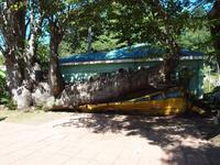 Dominica &ndash; &copy; Juliane Voigt (Eberhardt TRAVEL)