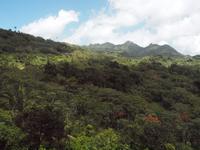 Grenada &ndash; &copy; Juliane Voigt (Eberhardt TRAVEL)