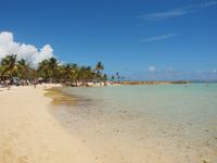 Guadeloupe - Sainte Anne &ndash; &copy; Juliane Voigt (Eberhardt TRAVEL)