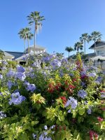 Blütenpracht im Hotel &ndash; &copy; Anne Schröder (Eberhardt TRAVEL)