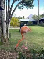 Flamingos in der hübschen Hotelanlage &ndash; &copy; Anne Schröder (Eberhardt TRAVEL)