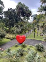Jardin de Balata &ndash; &copy; Anne Schröder (Eberhardt TRAVEL)