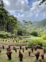 Traumhaft schöner Balata-Garten &ndash; &copy; Anne Schröder (Eberhardt TRAVEL)