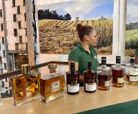 Verkostung des Clément-Rums &ndash; &copy; Anne Schröder (Eberhardt TRAVEL)
