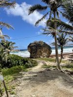 Wilde Atlantikküste von Barbados &ndash; &copy; Anne Schröder (Eberhardt TRAVEL)