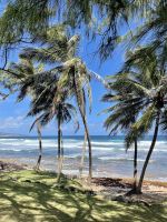 Bathsheba - Barbados &ndash; &copy; Anne Schröder (Eberhardt TRAVEL)