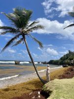 Bathsheba - Barbados &ndash; &copy; Anne Schröder (Eberhardt TRAVEL)