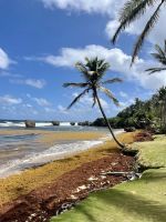 Wilde Atlantikküste auf Barbados &ndash; &copy; Anne Schröder (Eberhardt TRAVEL)