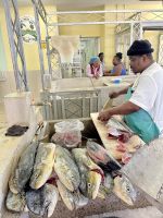 Fischmark in Kingstown &ndash; &copy; Anne Schröder (Eberhardt TRAVEL)