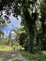 Botanischer Garten in St. Vincent &ndash; &copy; Anne Schröder (Eberhardt TRAVEL)